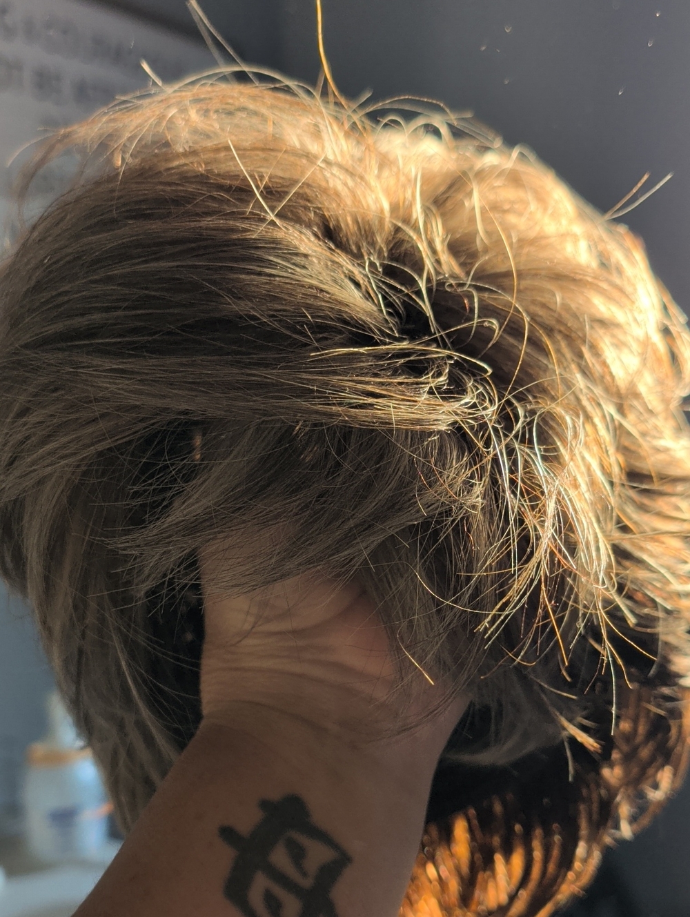 Light Brown Womenโs Short Layered Wig - Natural Shine